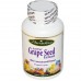 อาหารเสริม เมล็ดองุ่น grape seed ราคาส่ง ยี่ห้อ Paradise Herbs, ActiVin, Grape Seed Extract, 90 Veggie Caps